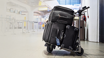 Pal additional baggage purchase online outlet